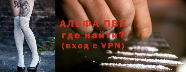 гидра Абаза
