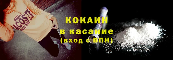 гидра Абаза