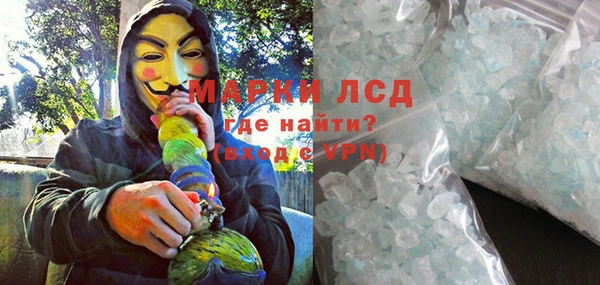 гидра Абаза