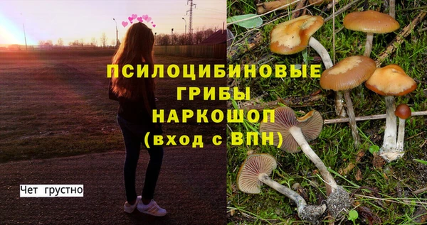 гидра Абаза